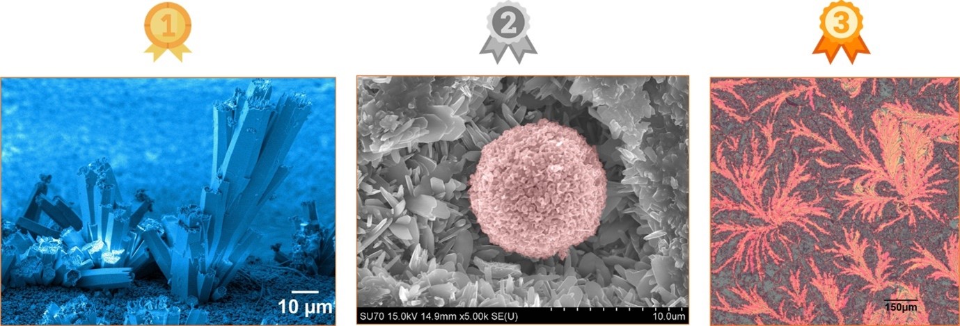Image1 (1)